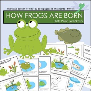 HOW FROGS ARE BORN - interactive booklet