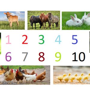 Básne o číslach - domácich zvieratách