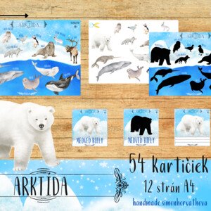 Zvieratá v zime, Arktické zvieratá, Arktída, Zima