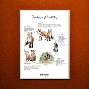  Životný cyklus líšky – plagát A3