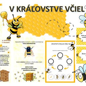 V kráľovstve včiel 