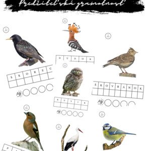 Vtáky - Predčitateľská gramotnosť