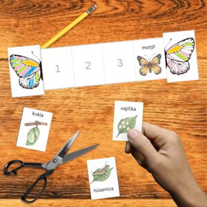  Motýľ: životný cyklus – vystrihovanie z papiera