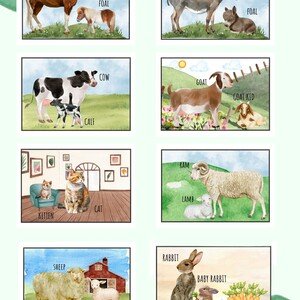 Edukačné kartičky - domáce zvieratá - anglický jazyk
