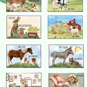 Edukačné kartičky - domáce zvieratá - německý jazyk