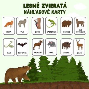 Lesné zvieratá - náhľadové karty