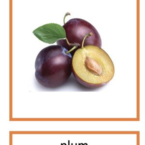 Fruits- jazykove karty 