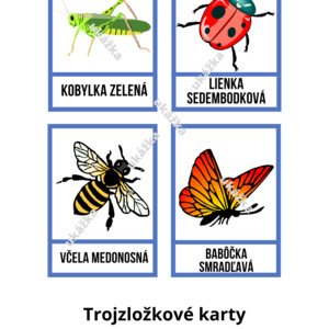 trojzložkové karty- ilustrácie hmyz