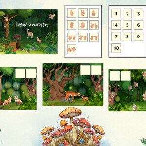 Matematika s lesnými zvieratami
