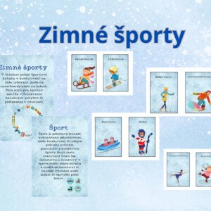 Zimné športy 