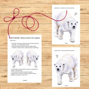 Ľadový medveď - MEGA balík aktivít