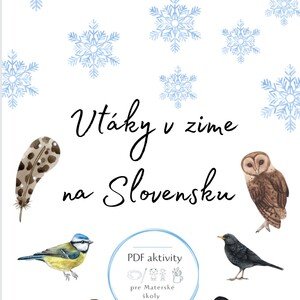 Vtáky v zime na Slovensku