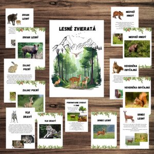 Lesné zvieratá- obrázky