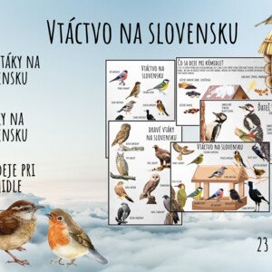 Vtáci v zime, Vtáky na Slovensku, Dravé vtáky na Slovensku, Dravci, Zvieratká v zime