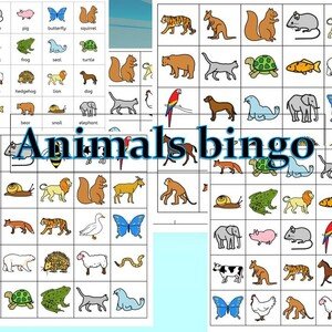 Bingo - animals, food, clothes