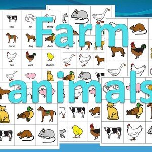 Bingo - Farm animals, Animals in the ZOO