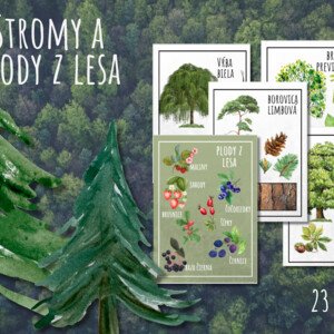 Stromy, les, plody z lesa, lesné plody, učebná pomôcka, obrázkový materiál na tabuľu